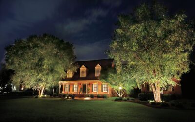The Premier Company for Landscape Lighting in New Orleans: Outdoor Illumination Design