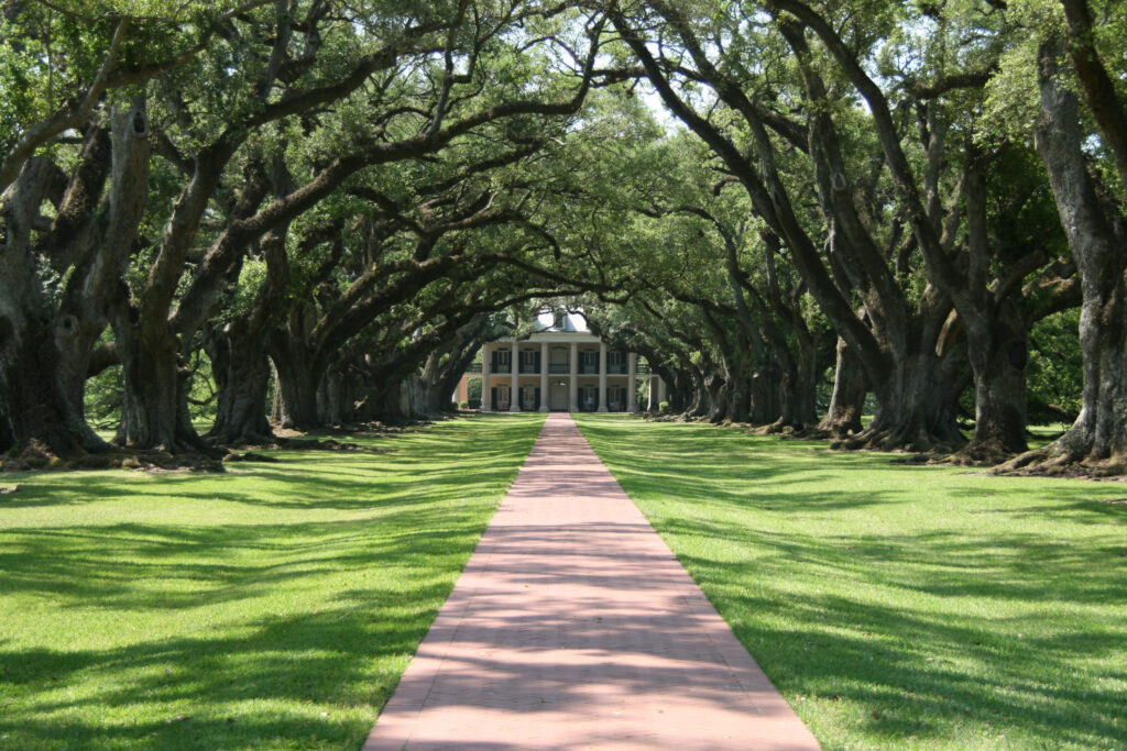 Things to do in Louisiana: Top Attractions in Louisiana: Tour Historic Homes and Plantations
