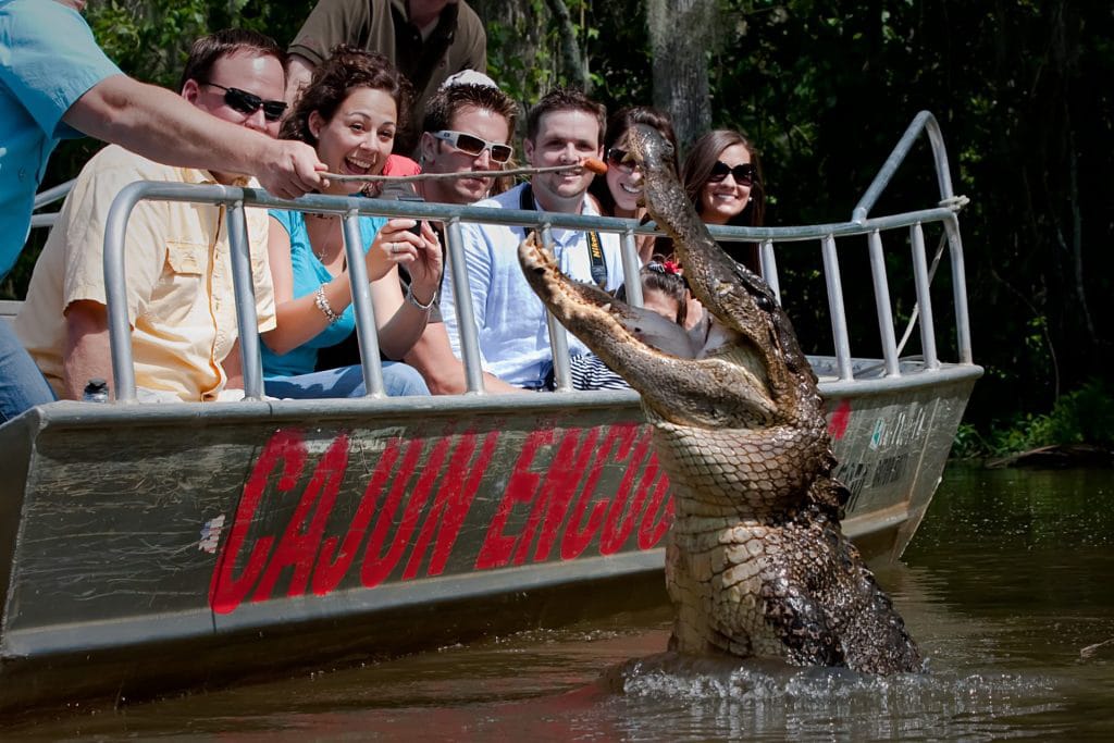 Things to do in Louisiana: Swamp Tours