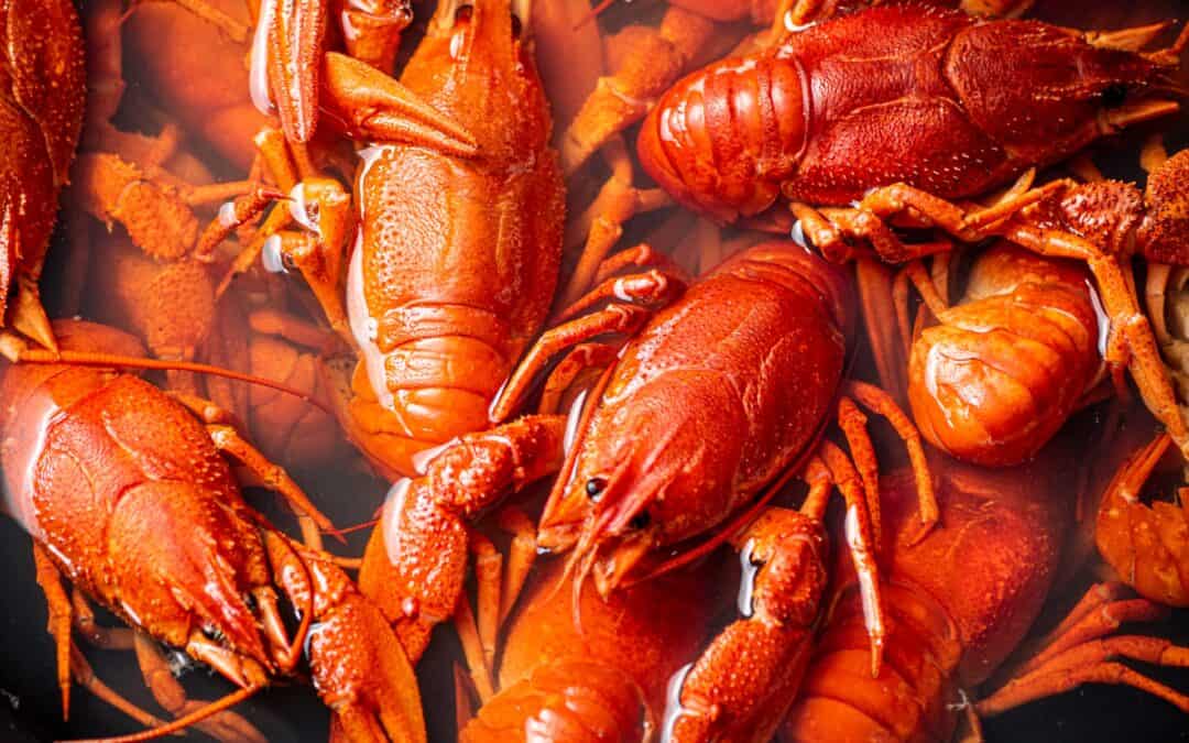 When is Crawfish Season in Louisiana