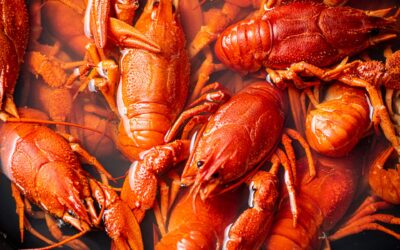 When is Crawfish Season in Louisiana? Crawfish Season Facts