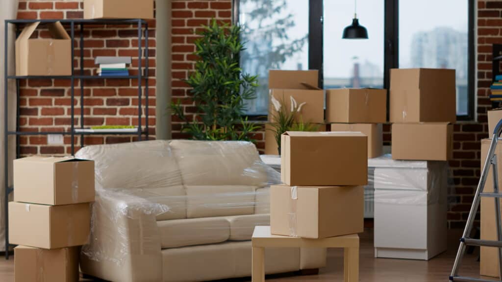 Professional Packing with Moving Company