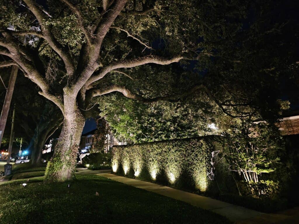 Garden and Tree Landscape Lighting for Residential Appeal