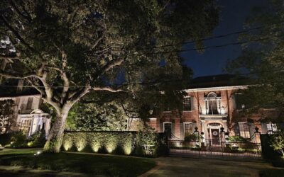 Expert Landscape Lighting Solutions in Metairie: Outdoor Illumination Design