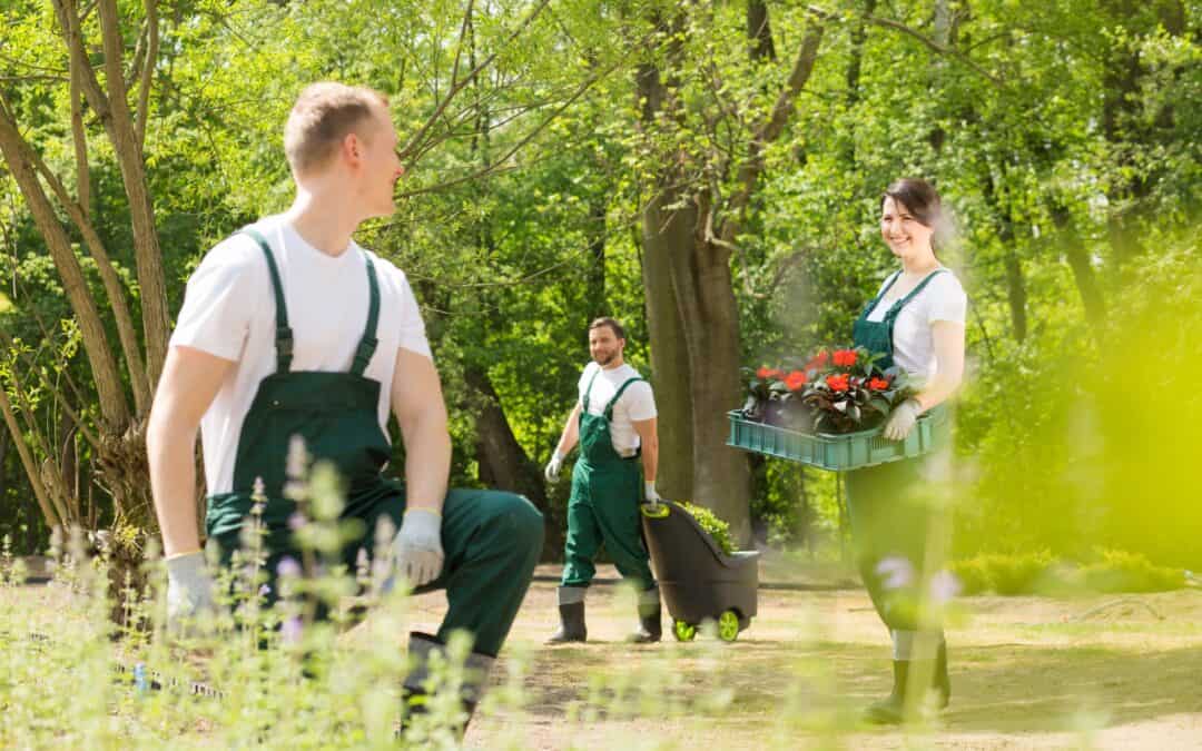 Landscapers in Slidell