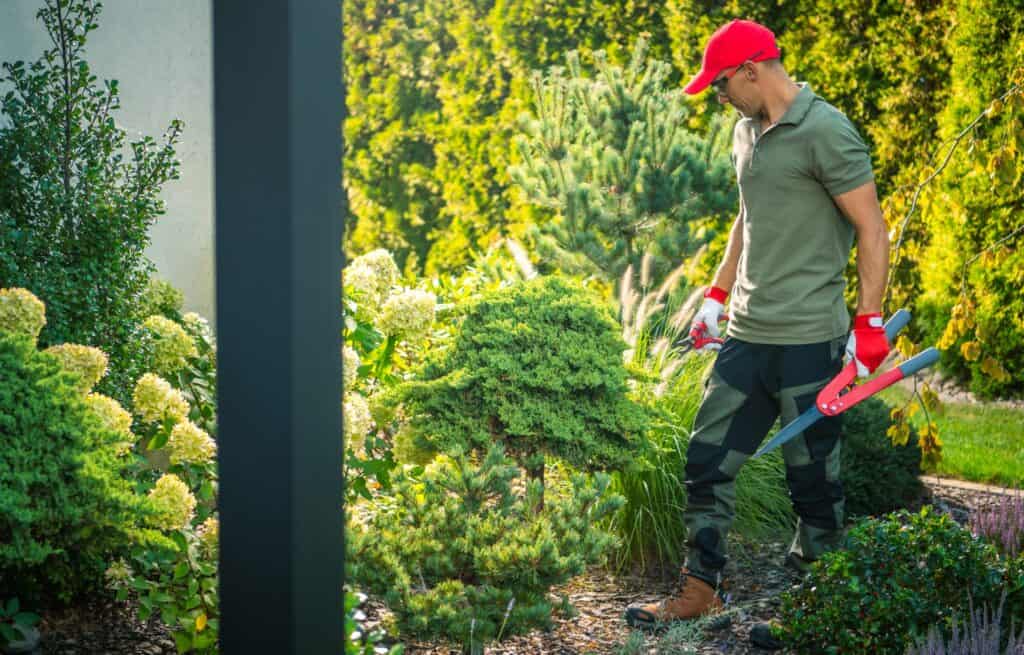 Landscapers in Slidell pruning